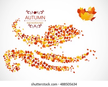 Autumn background from leaves of different colors with the inscription