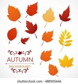 Autumn background from leaves of different colors with the inscription