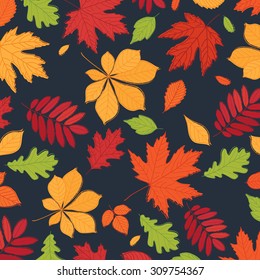 Autumn background. Autumn leaves are drawn on the black chalkboard. Autumn fall. Vector illustration