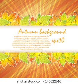 Autumn background with leaves eps10