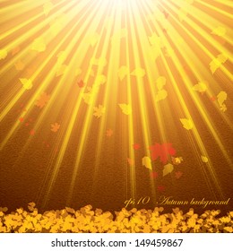 Autumn background with leaves eps10
