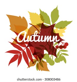 Autumn background with leaves. Fall set.