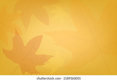 Autumn background with leaves golden yellow with blank space frames. banner fall concept. For wallpaper, postcards, greeting cards, website pages,online sales. Vector illustration.