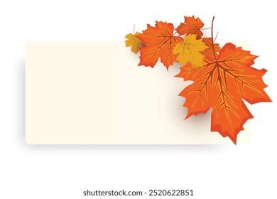 Autumn background with leaves golden yellow. fall concept,For wallpaper, postcards, greeting cards, website pages, banners, online sales. Vector illustration