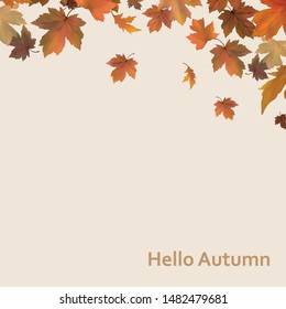 Autumn background with leaves. Hello, autumn