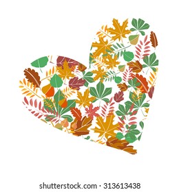 Autumn background. Autumn leaves illustration. autumn heart. nature 