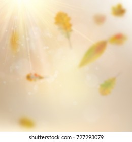 Autumn background with leaves. And also includes EPS 10 vector
