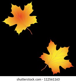 Autumn background with leaves of maple