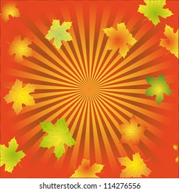 Autumn background with leaves of maple