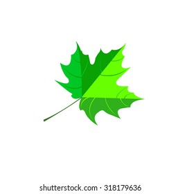 Autumn background with leaves. Maple leaf vector illustration