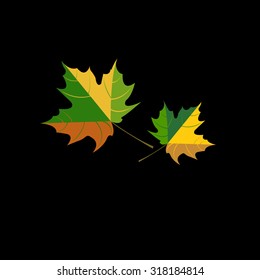 Autumn background with leaves. Maple leaf vector illustration