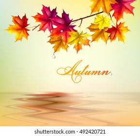 Autumn background. Leaves of maple. Vector eps 10.