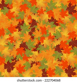 fondo otoño de hojas maple.vector ilustración.