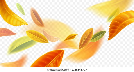 Autumn background. Autumn leaves in motion are isolated on a transparent background. Templates for placards, banners, flyers, presentations, reports. Vector illustration.