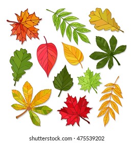 Autumn Background With Leaves. Nature.