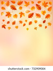 Autumn background with leaves. Poster, card, label, banner design. Vector illustration