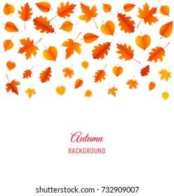 Autumn background with leaves. Poster, card, label, banner design. Vector illustration