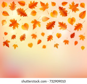 Autumn background with leaves. Poster, card, label, banner design. Vector illustration