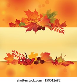 Autumn background with leaves and rowan. Back to school. Vector illustration. 