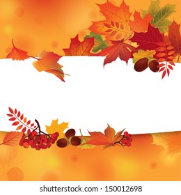 Autumn background with leaves and rowan. Back to school. Vector illustration. 
