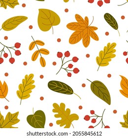 Autumn background with leaves and rowan. Seamless pattern with falling autumn leaves and bunches of rowan berries on a white background.