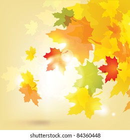 Autumn background with leaves and sun