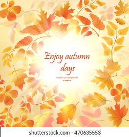 autumn background, leaves in the sun rays
