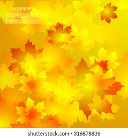 Autumn background with leaves and text