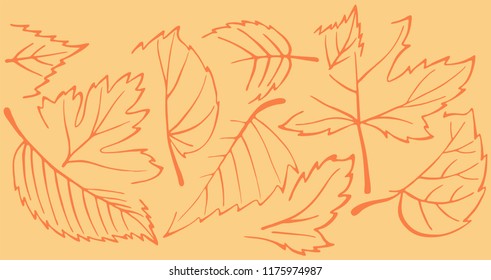 Autumn background of leaves, vector background