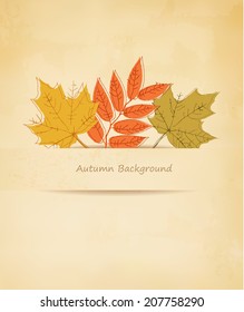 Autumn background with leaves. Vector.