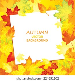 Autumn background with leaves. Vector 