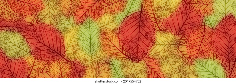 Fondo otoñal de hojas, diseño vectorial, banner