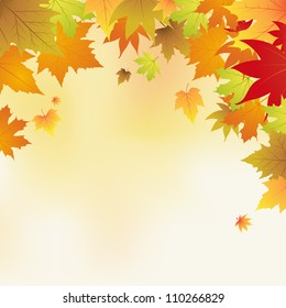 autumn background with leaves vector illustration