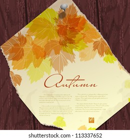 Autumn background with leaves.  Vector illustration. Eps 10.