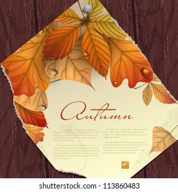 Autumn background with leaves.  Vector illustration. Eps 10.