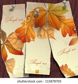 Autumn background with leaves.  Vector illustration. Eps 10.