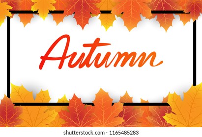 Autumn background with leaves. Vector illustration.