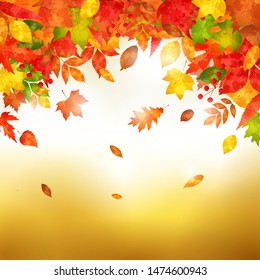 Autumn background with leaves. vector illustration