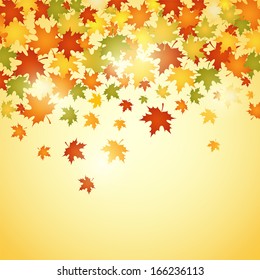 autumn background with leaves vector illustration