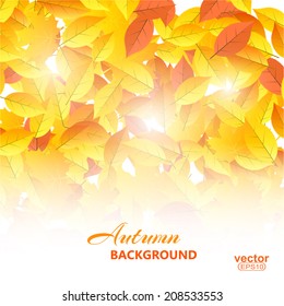 Autumn background with leaves. Vector illustration.