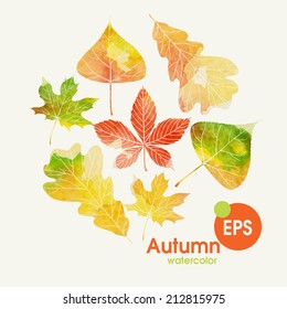 Autumn Background With Leaves. Vector Illustration. Eps 10