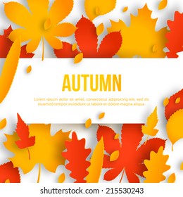 Autumn background with leaves. Vector illustration. Place for  text message. 
