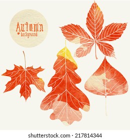 Autumn Background With Leaves. Vector Illustration. Eps 10