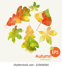 Autumn Background With Leaves. Vector Illustration. Eps 10