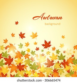 Autumn background with leaves. Vector illustration