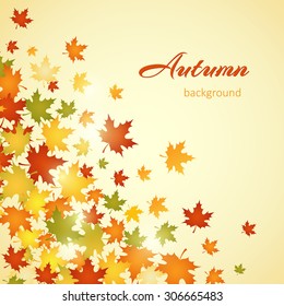 Autumn background with leaves. Vector illustration