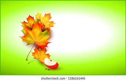 Autumn background with leaves. Vector maple leaf. Back to school.Teacher's Day card.