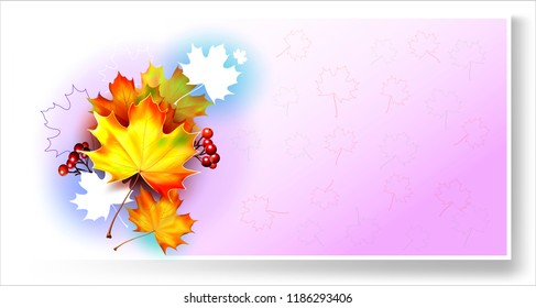 Autumn background with leaves. Vector maple leaf. Vector rowanberry. Back to school.Teacher's Day card.
