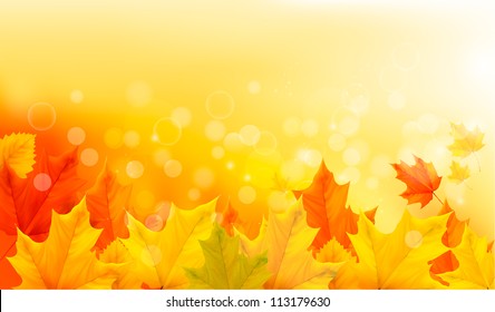 Autumn background with leaves. Vector nature background.