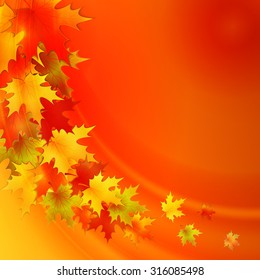 Autumn background with leaves. Vector nature background. EPS 10